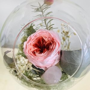 Preserved Rose Terrarium